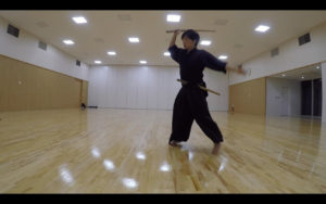 二天一流剣術の型「躱打」1
